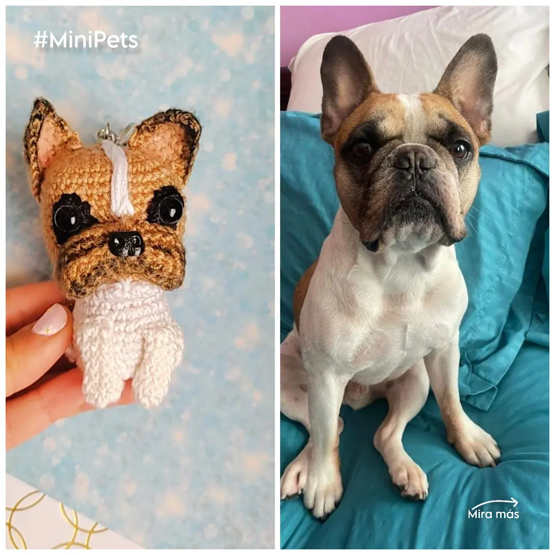 Llaveros personalizados de tu mascota - Imagen 3